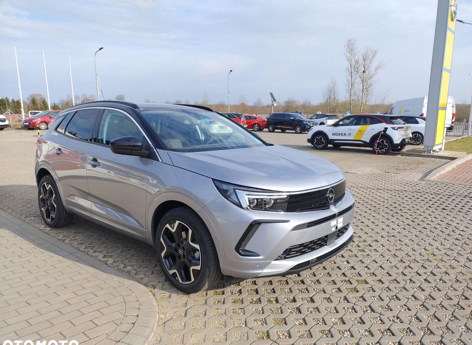 Opel Grandland cena 143400 przebieg: 5, rok produkcji 2024 z Rybnik małe 277